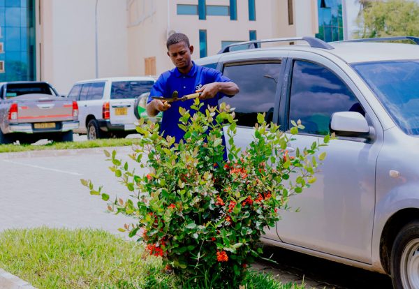 gardening